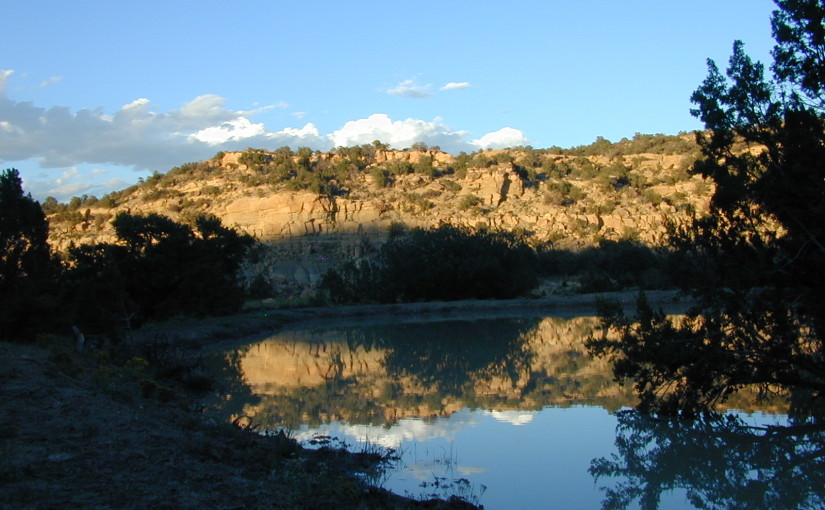 Understanding New Mexico High Desert Rain Water Erosion Forces